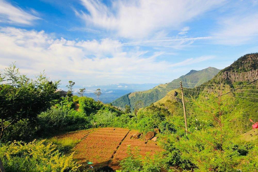 Misty Mountain Lodge Ohiya Exterior foto